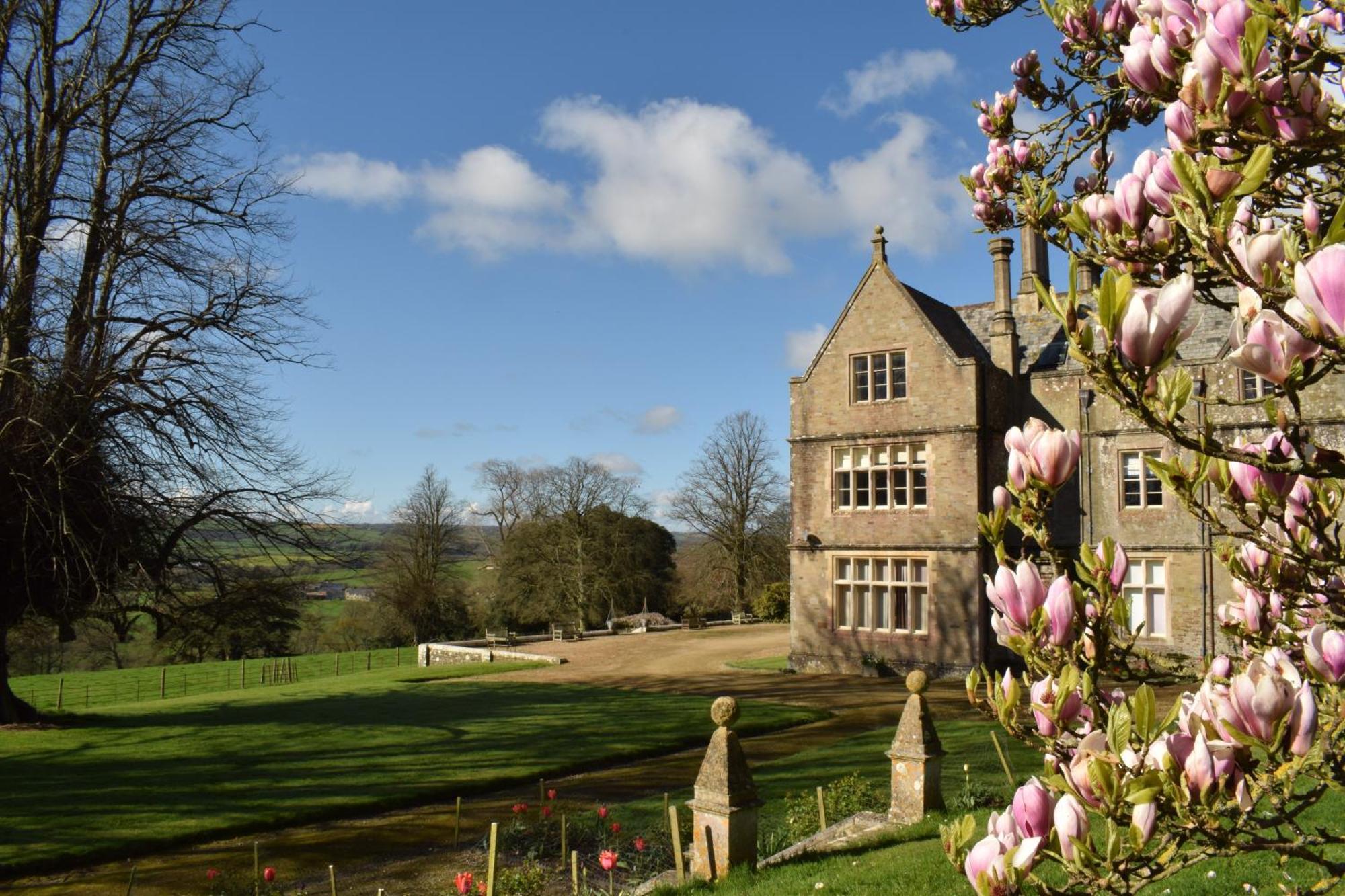 Hall Bed & Breakfast Bed & Breakfast Bishops Tawton Exterior photo